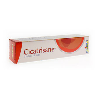 CICATRISAN POMM 40G UNDA