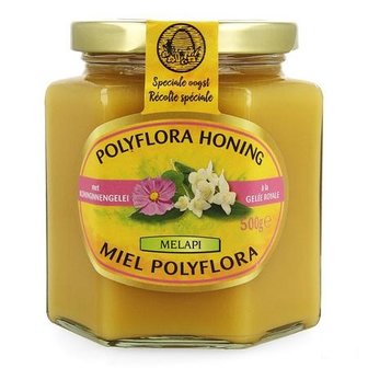 MELAPI POLYFLORA+KONINGINNEBRIJ 500G 5534