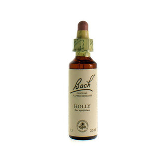 BACH FLOWER REMEDIE 15 HOLLY 20ML