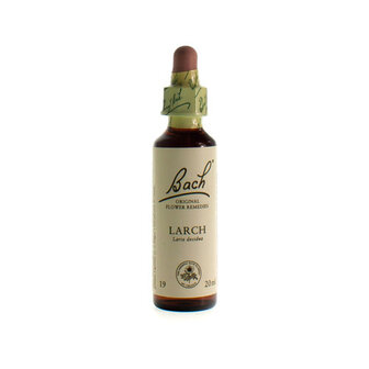 BACH FLOWER REMEDIE 19 LARCH 20ML