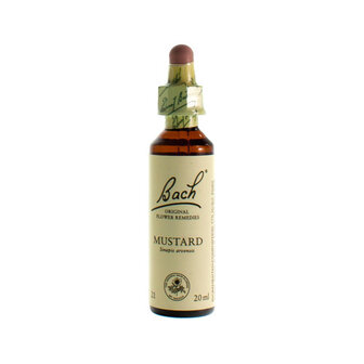 BACH FLOWER REMEDIE 21 MUSTARD 20ML