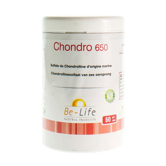 CHONDRO 650 BE LIFE GEL 60X650MG