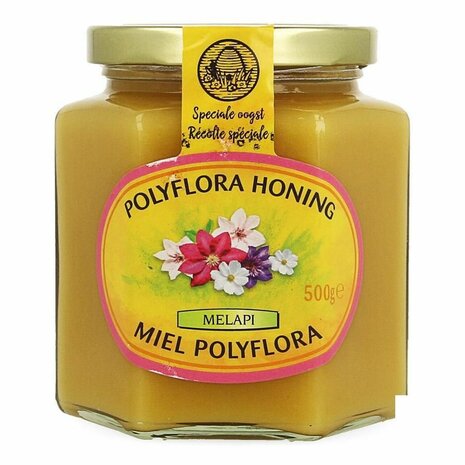 MELAPI HONING POLYFLORA ZACHT 500G 5531