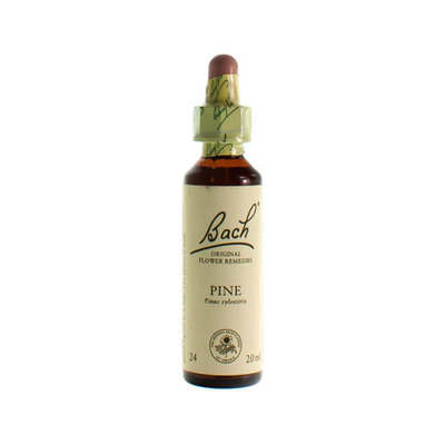 BACH FLOWER REMEDIE 24 PINE 20ML